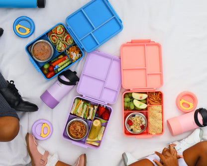 SummitCo Alpine Bento Lunchbox with Insulated Food Jar – Orchid - Leakproof, 4 Compartments, BPA-Free