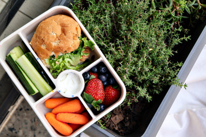 SummitCo Silicone Bento 5 Lunchbox – Star Confetti - Leakproof, 5 Compartments, Microwave & Oven Safe