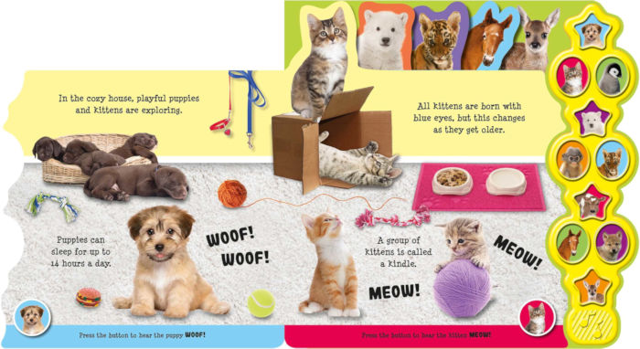 Baby Animals (10 Button Sound Books) - Board book – Sound Book