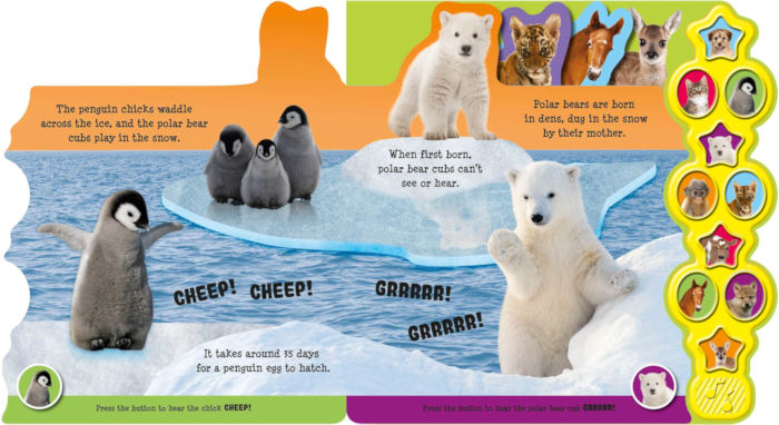 Baby Animals (10 Button Sound Books) - Board book – Sound Book