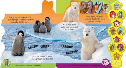 Baby Animals (10 Button Sound Books) - Board book – Sound Book