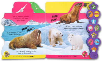In The Ocean (10 Button Sound Books) - Board book – Sound Book