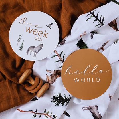 Snuggle Hunny Kids Milestone Cards- Alpha &amp; Bronze