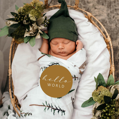 Snuggle Hunny Kids Milestone Cards- Alpha &amp; Bronze