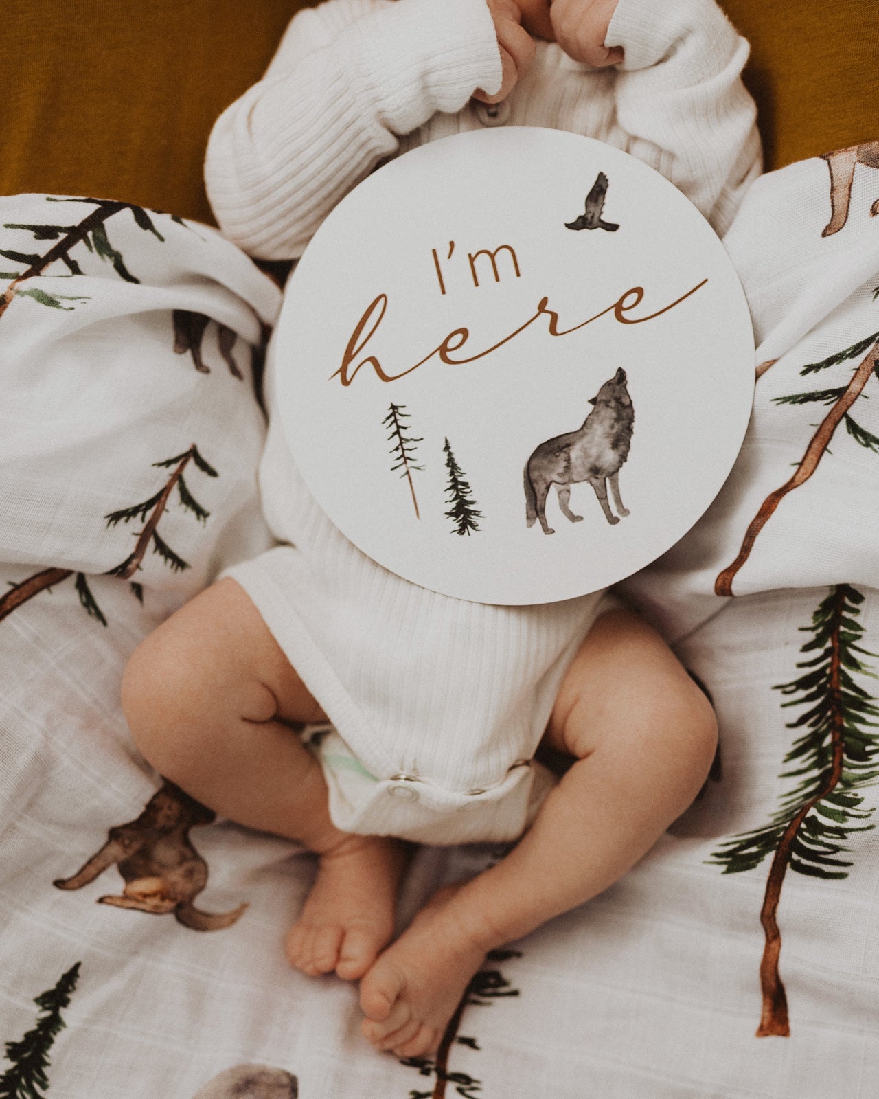 Snuggle Hunny Kids Milestone Cards- Alpha &amp; Bronze