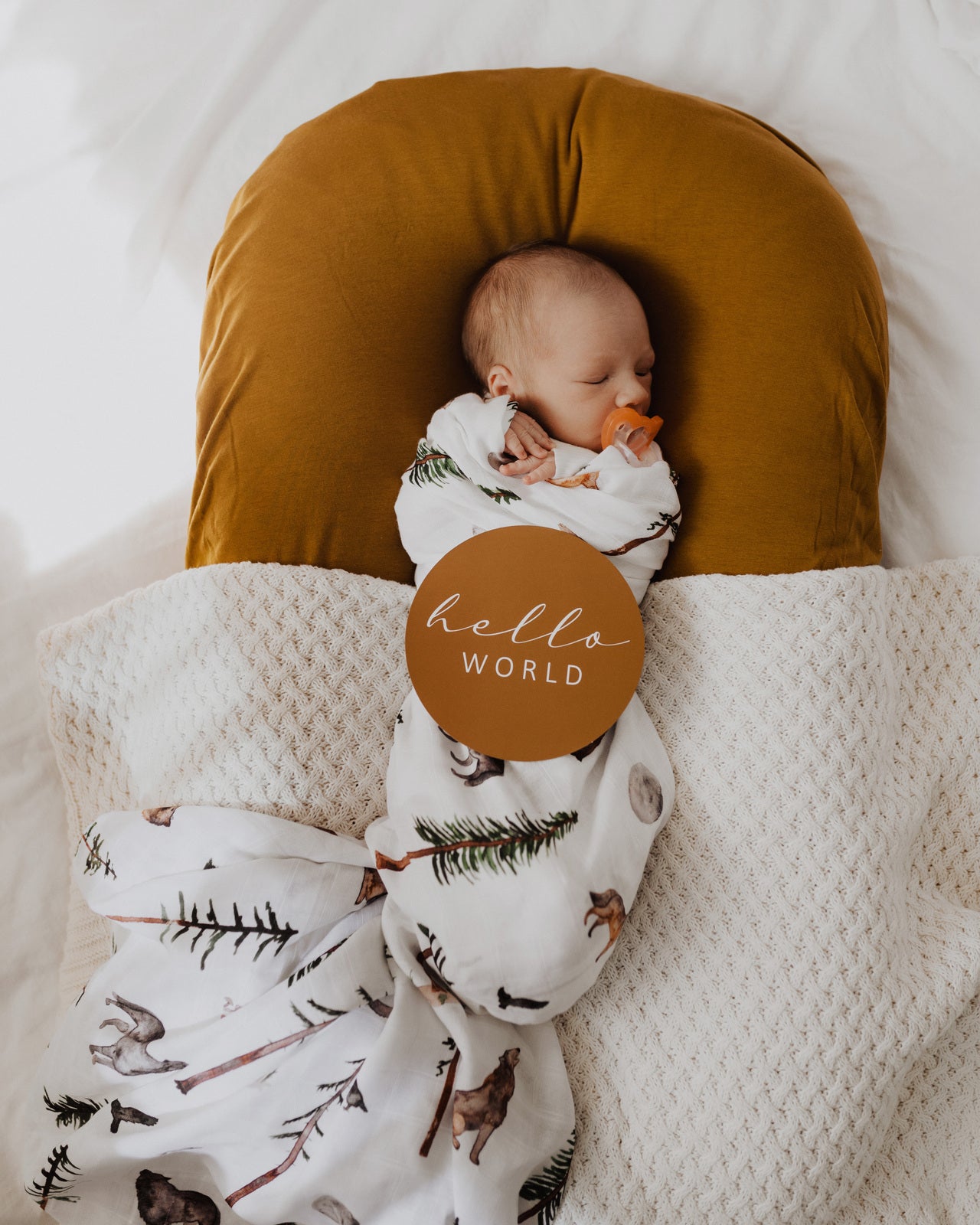 Snuggle Hunny Kids Milestone Cards- Alpha &amp; Bronze