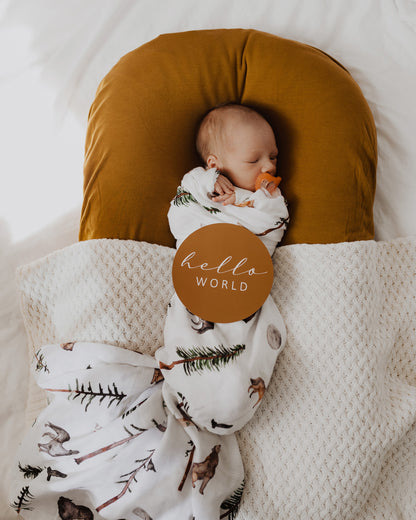 Snuggle Hunny Kids Milestone Cards- Alpha &amp; Bronze