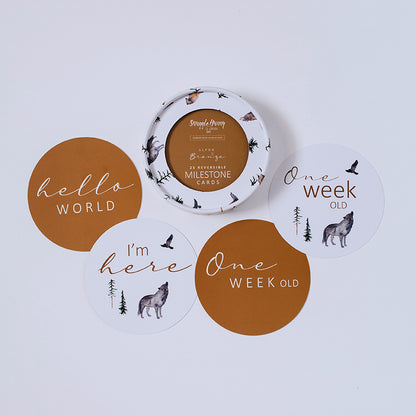 Snuggle Hunny Kids Milestone Cards- Alpha &amp; Bronze