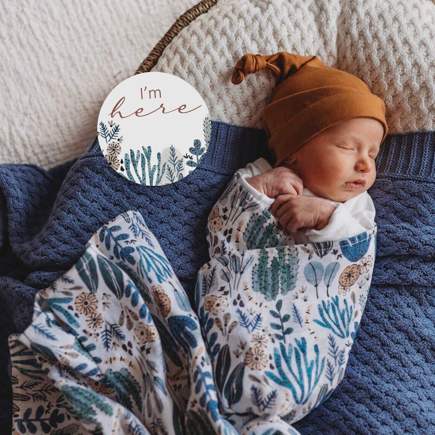 Snuggle Hunny Kids Milestone Cards- Arizona &amp; Bronze