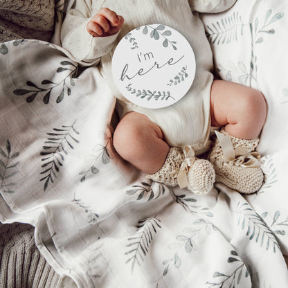 Snuggle Hunny Kids Milestone Cards- Wild Fern & Grey