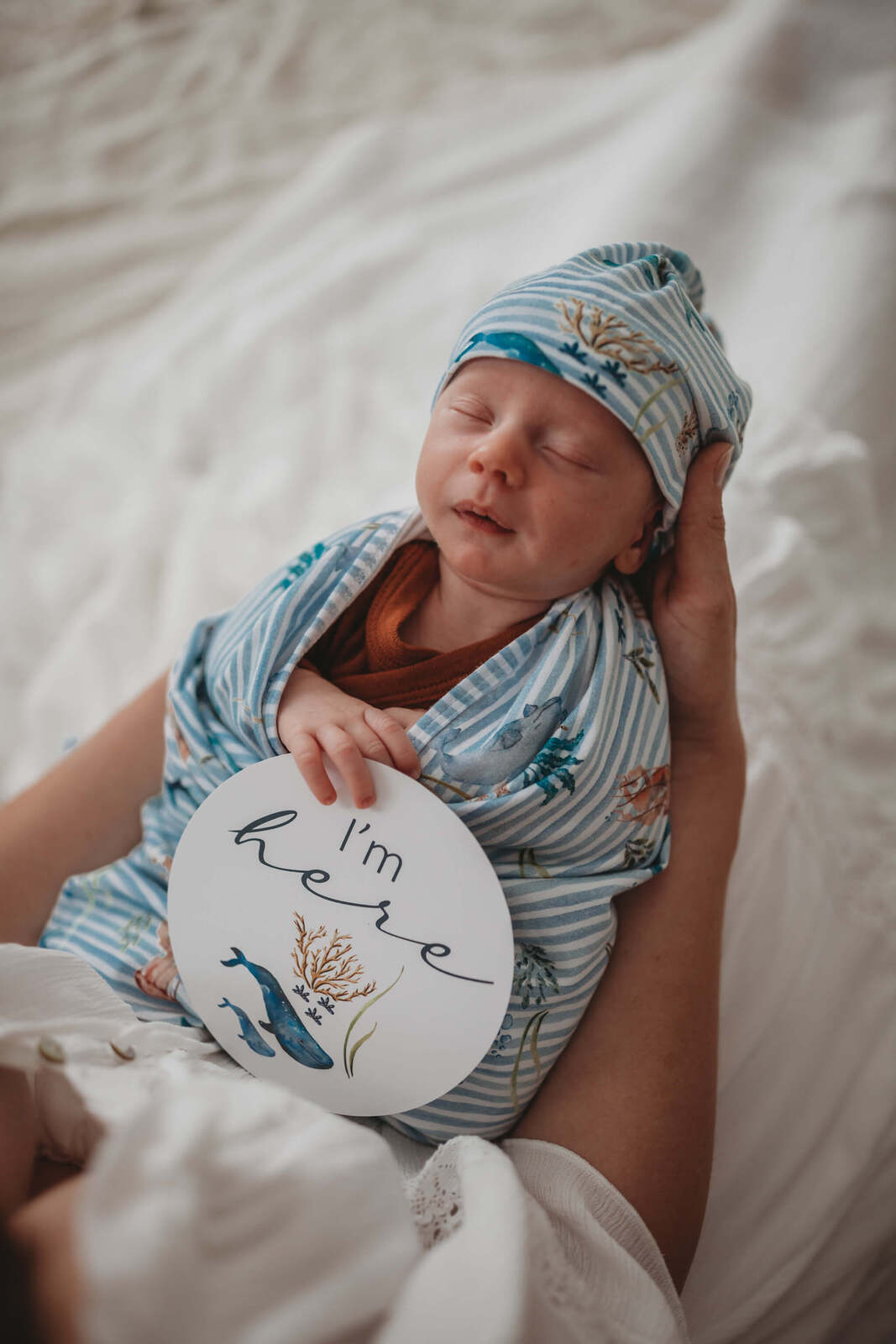Snuggle Hunny Kids Milestone Cards- Whale & Azure Reversible Milestone Cards