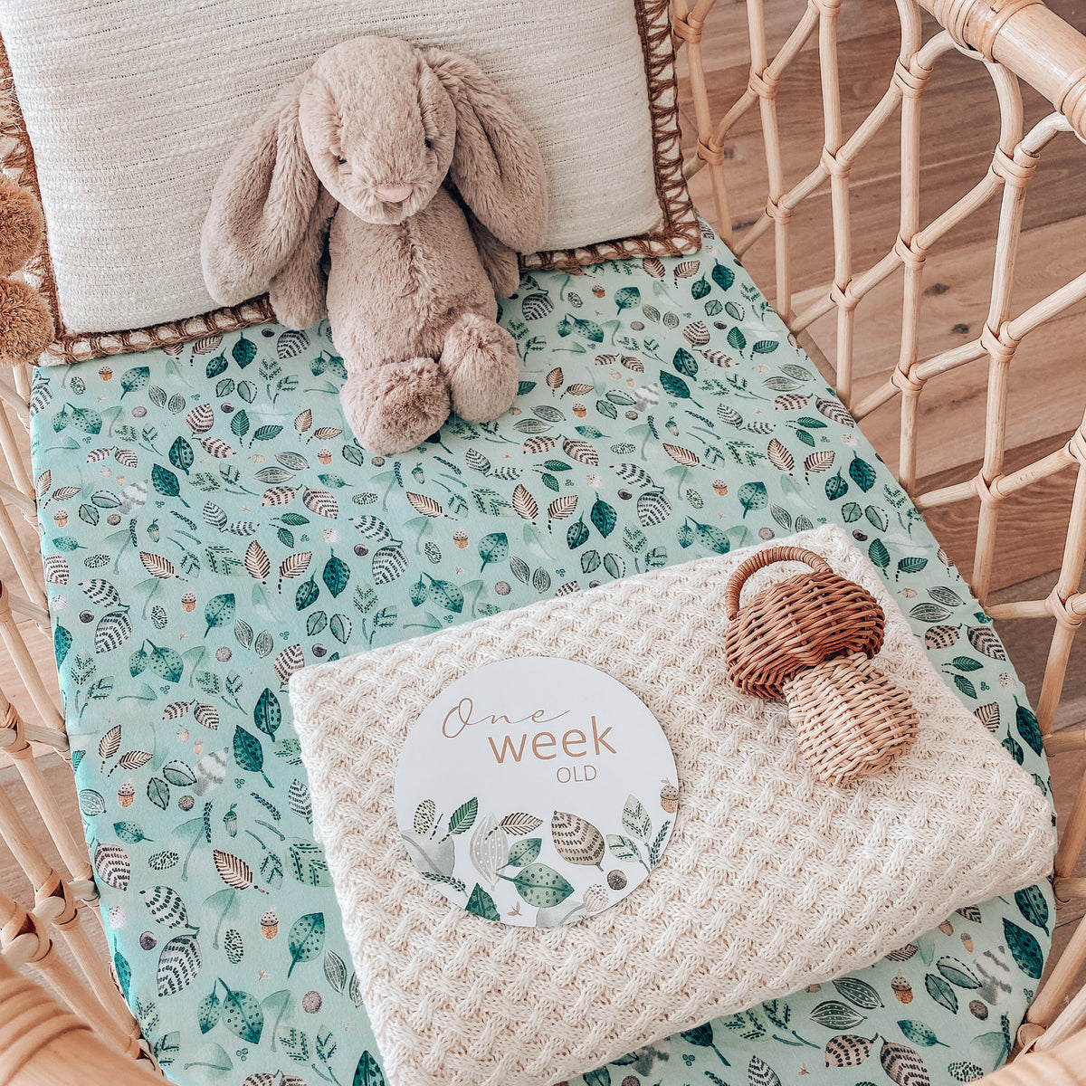 Snuggle Hunny Kids Milestone Cards- Daintree & Sage Reversible Milestone Cards