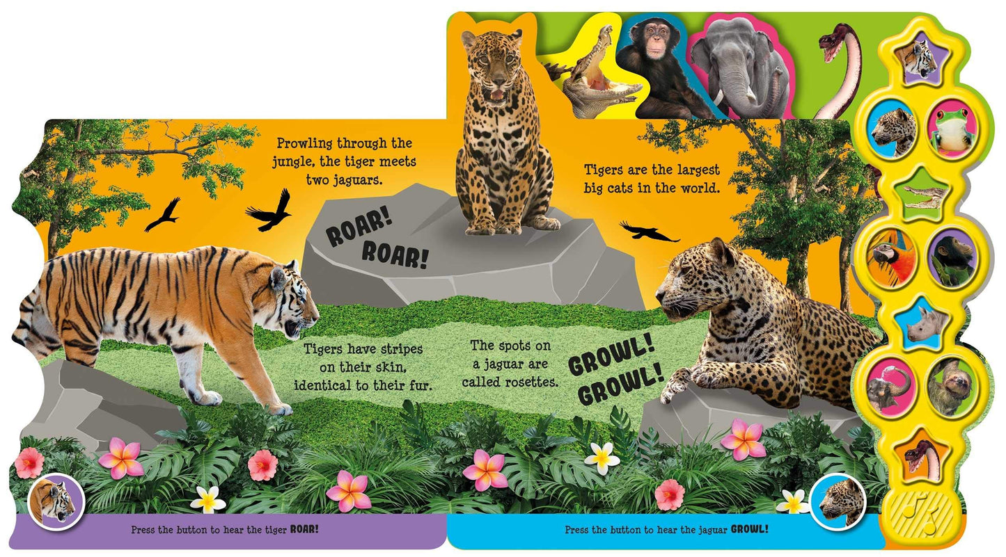 Noisy Jungle (10 Button Sound Books) - Board book – Sound Book