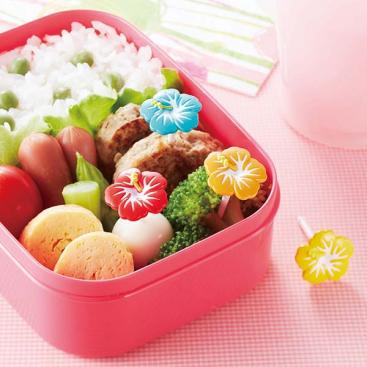 Hibiscus Pick Set