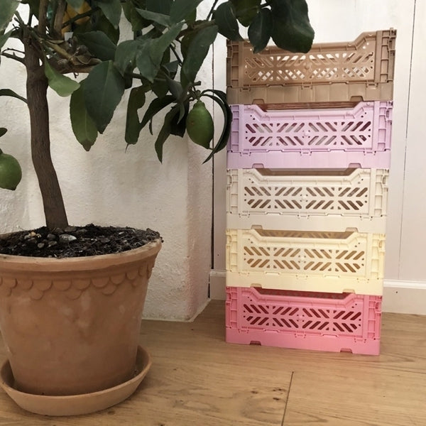 Aykasa - Midi Folding Crate - Orchid