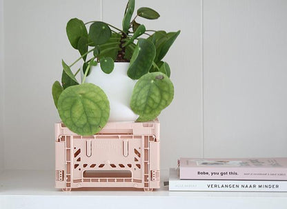 Aykasa - Mini Folding Crate - Milk Tea