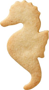 Birkmann - Stainless Steel Cookie Cutter - Seahorse